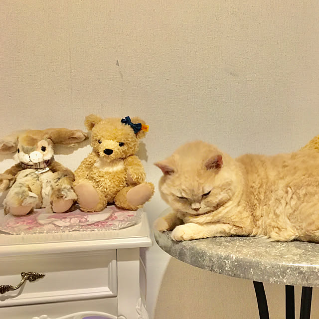 naokoさんの実例写真