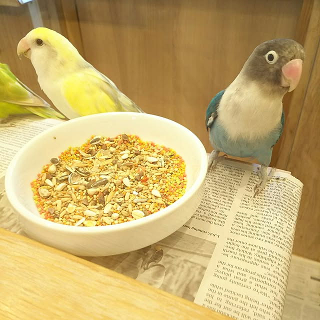 0c.c0さんの実例写真