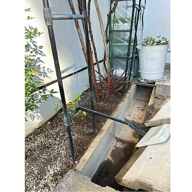 kittyさんの部屋