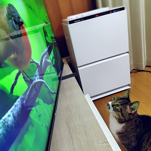 nachiさんの部屋