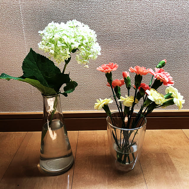 Hayabusaさんの実例写真