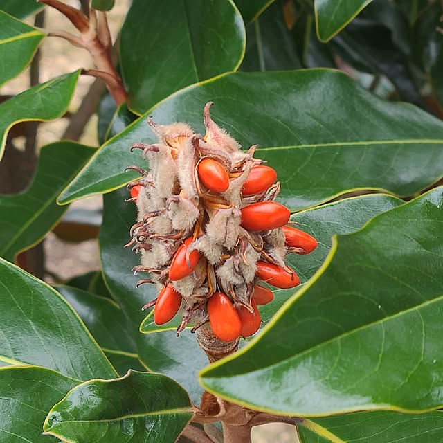 Rubiconさんの実例写真