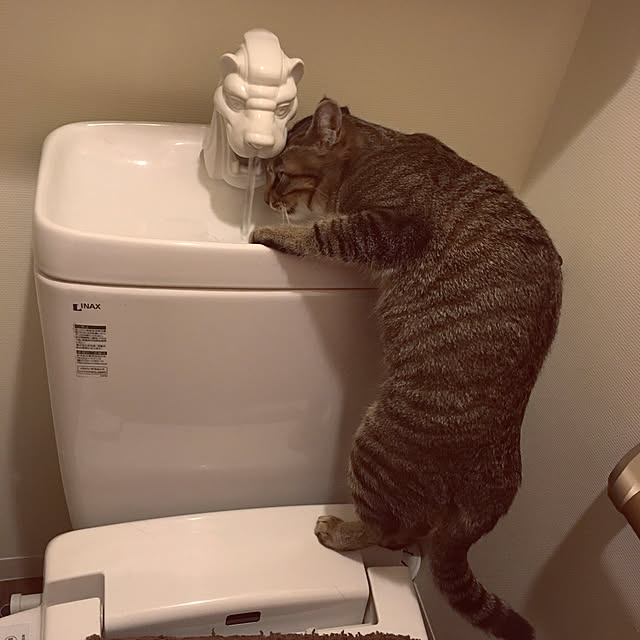 mikomaruさんの実例写真