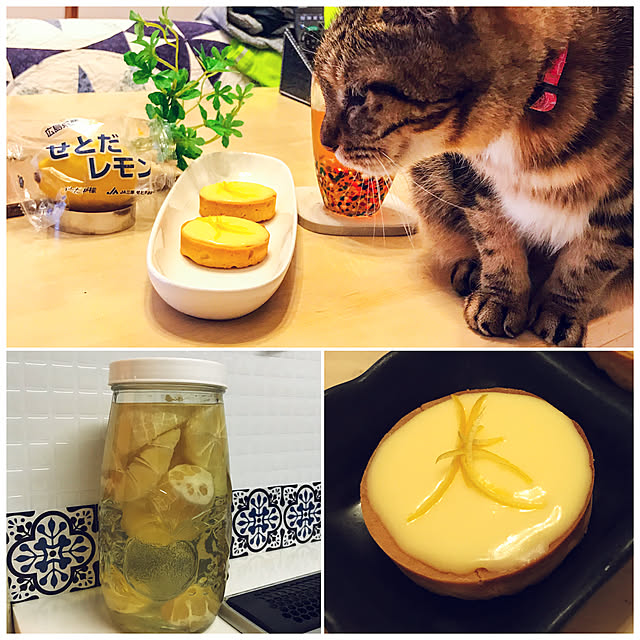 lavie0125さんの実例写真