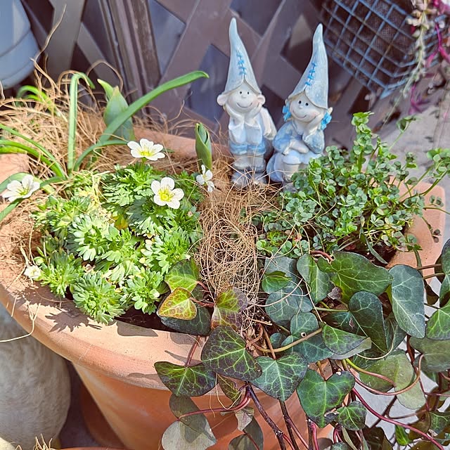 mocomocoさんの部屋