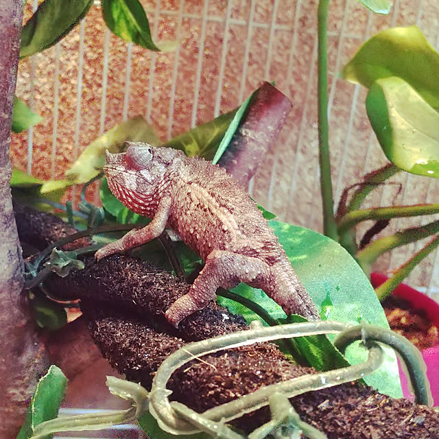 tamaruさんの実例写真