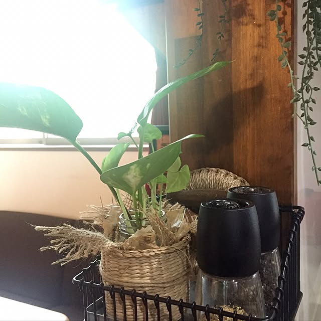 butachanさんの実例写真