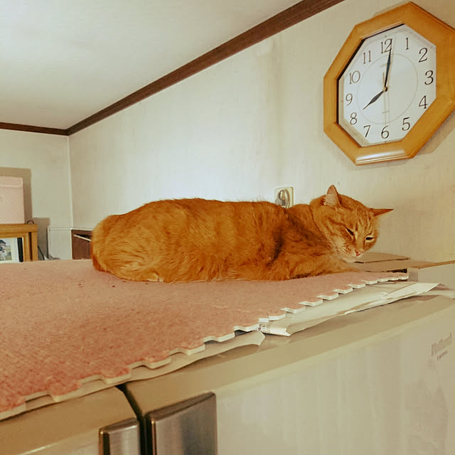 dokkypomさんの実例写真