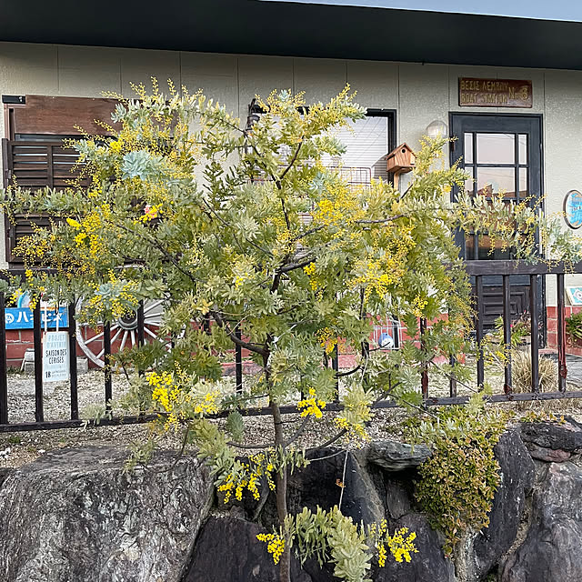 shin0719さんの部屋