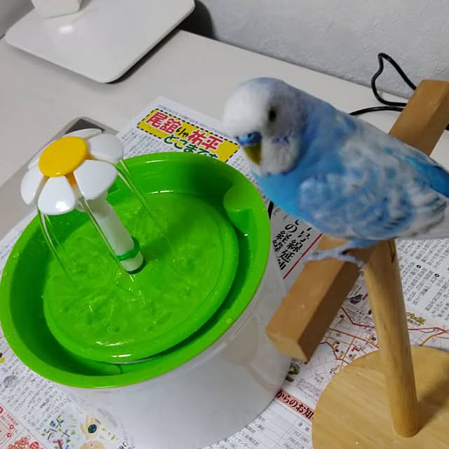 toratanさんの実例写真
