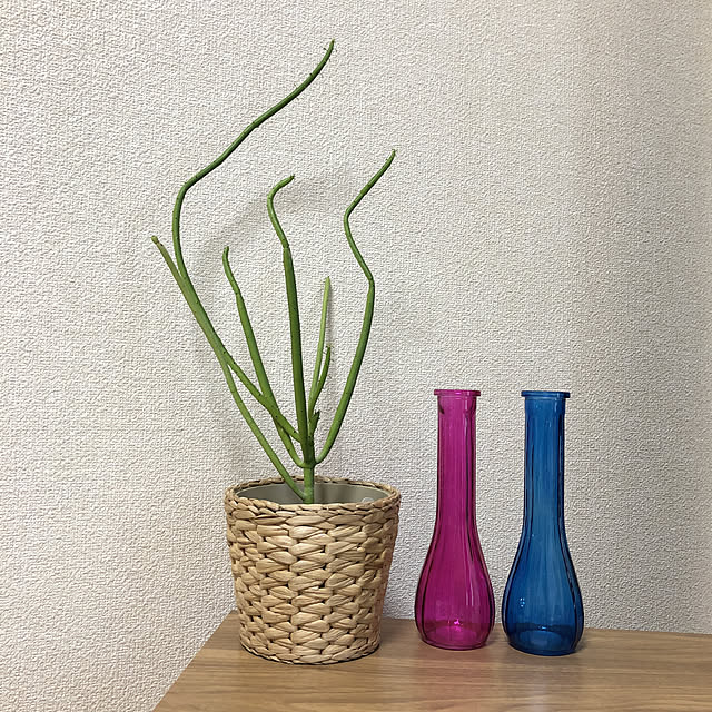gurikkoさんの実例写真