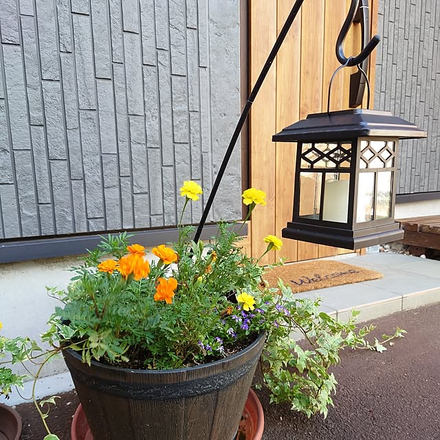 anri193さんの実例写真