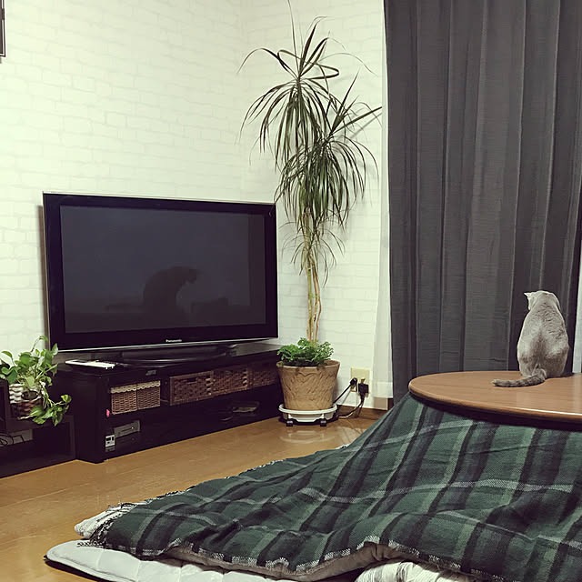 yumi.snoopさんの実例写真