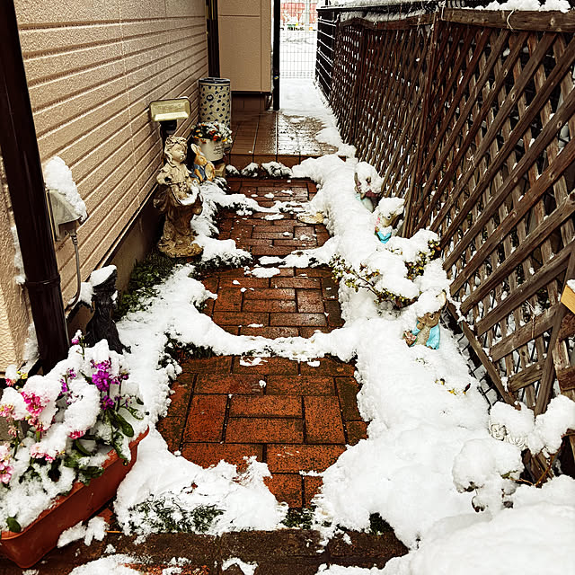 KYONさんの実例写真