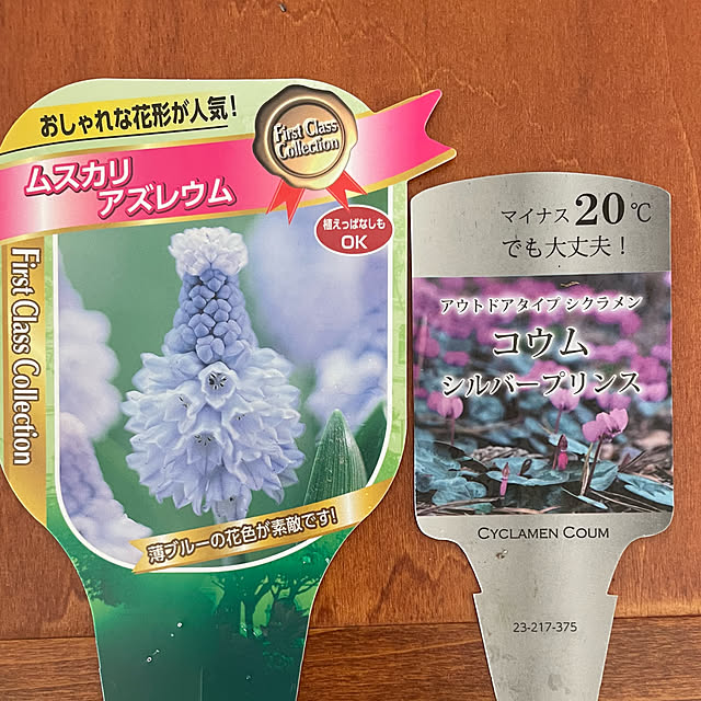 buchiさんの部屋