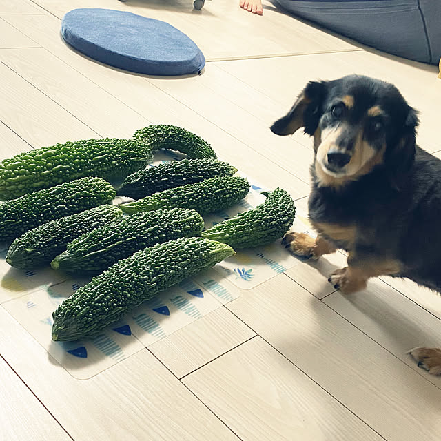ohanaさんの実例写真
