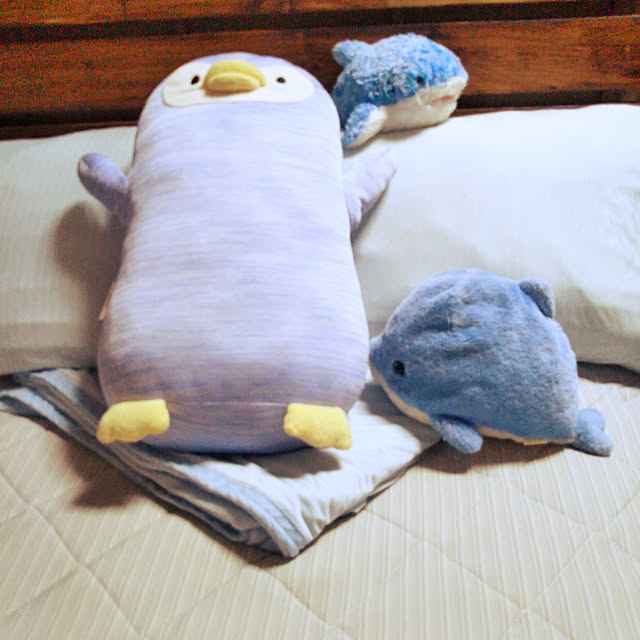 koheiさんの実例写真