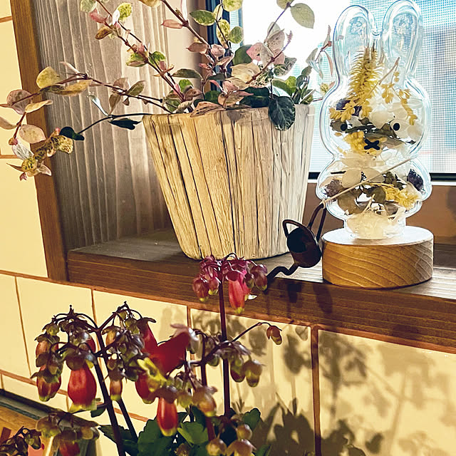 cotaさんの部屋