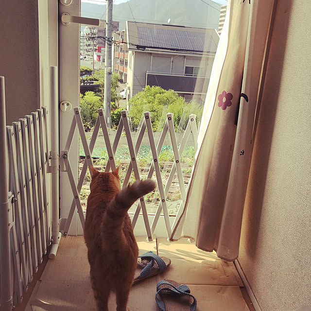 kou-kitiさんの実例写真