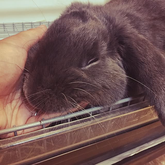 MerryGoRoundさんの実例写真