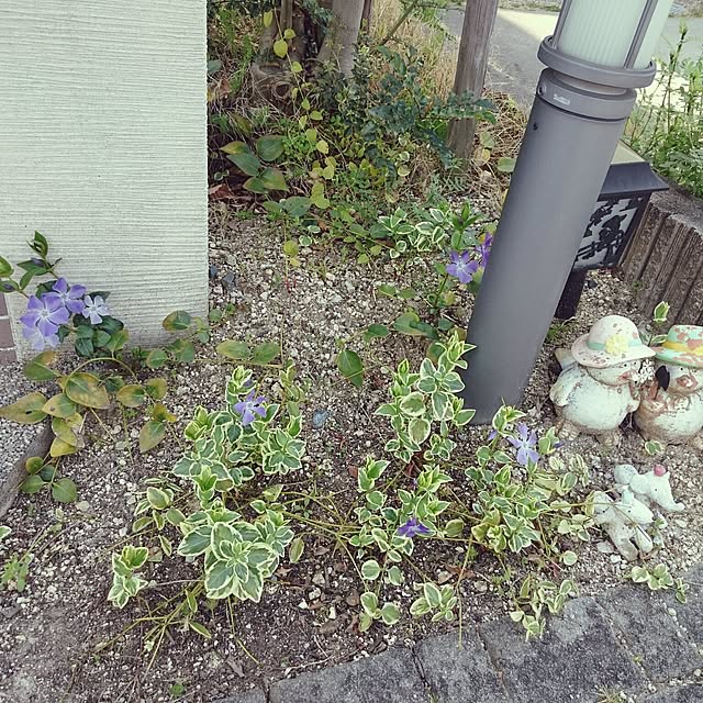 natuさんの実例写真