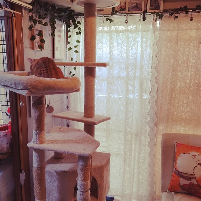runaさんの部屋