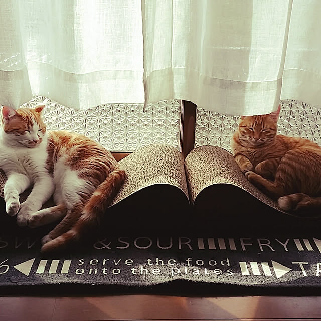 rapin8226さんの実例写真