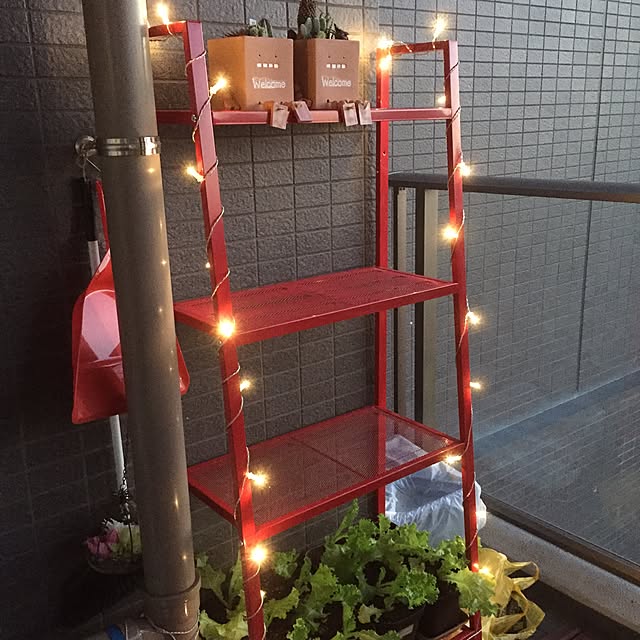 soraさんの実例写真