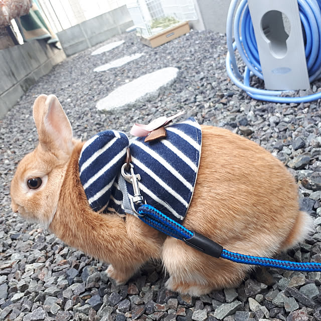 aiさんの実例写真
