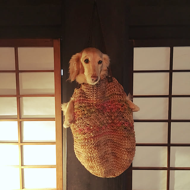 nicoichiさんの実例写真