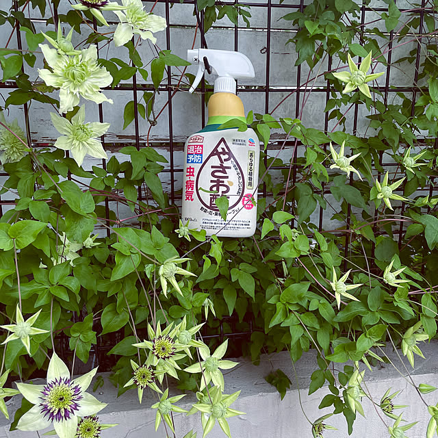 yupponさんの部屋