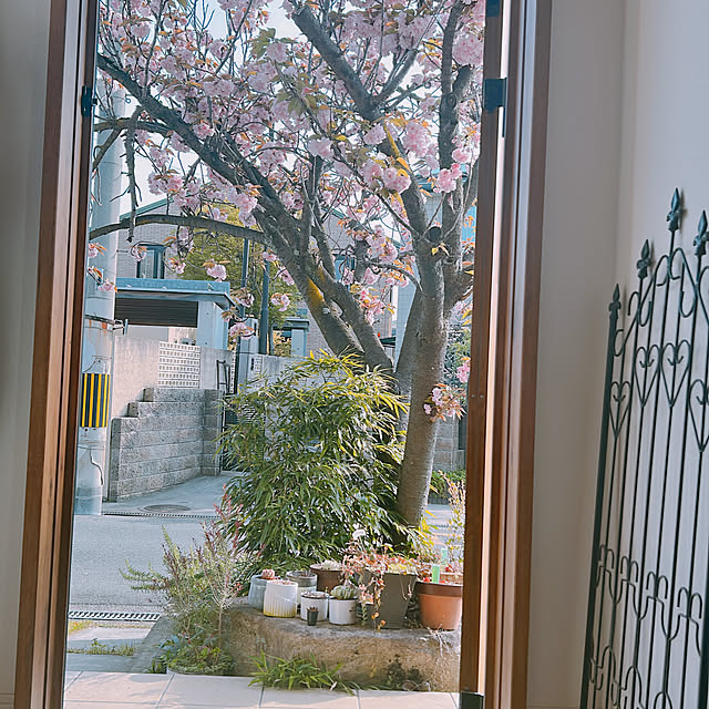 rizumu4649さんの実例写真