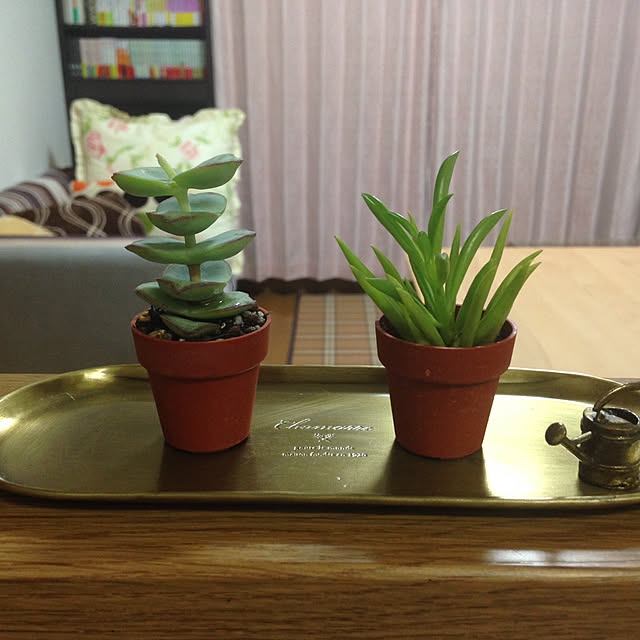harukaさんの実例写真