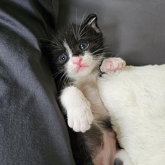 ymmtさんの実例写真