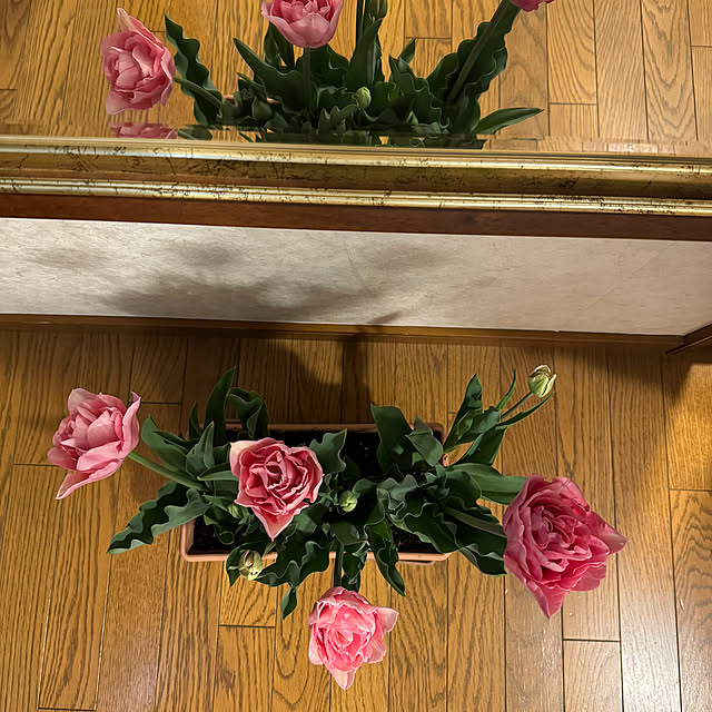 mamizaさんの実例写真