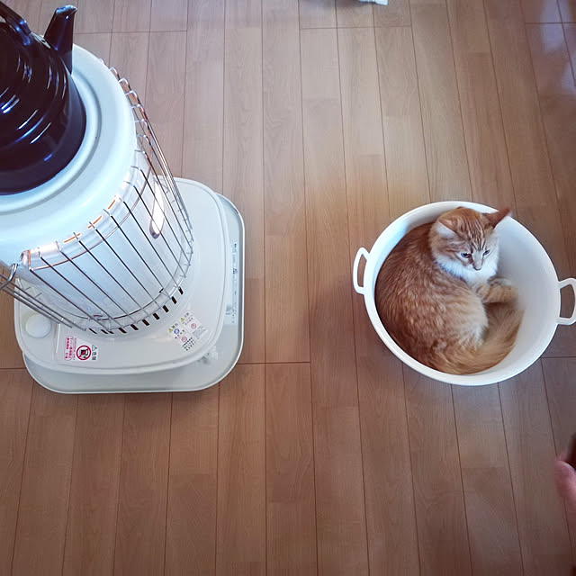 pinokoさんの実例写真