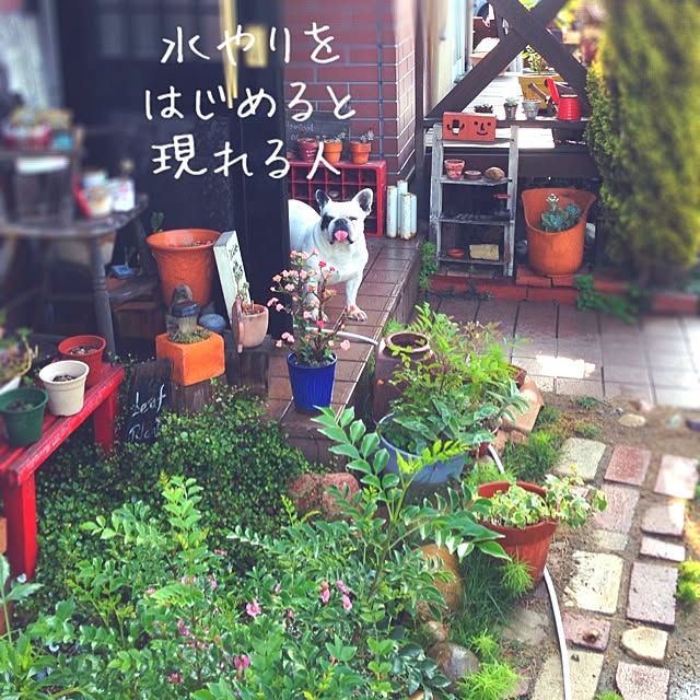 38coreさんの実例写真