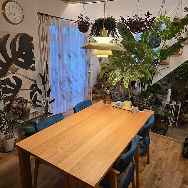 nonbiri_house_さんの部屋