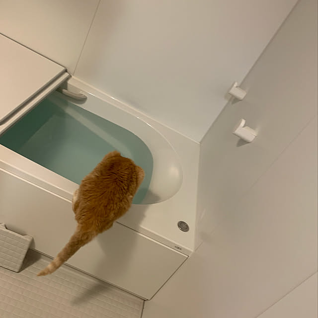 mikeume7さんの実例写真