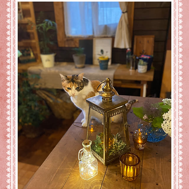 murasaki808さんの実例写真