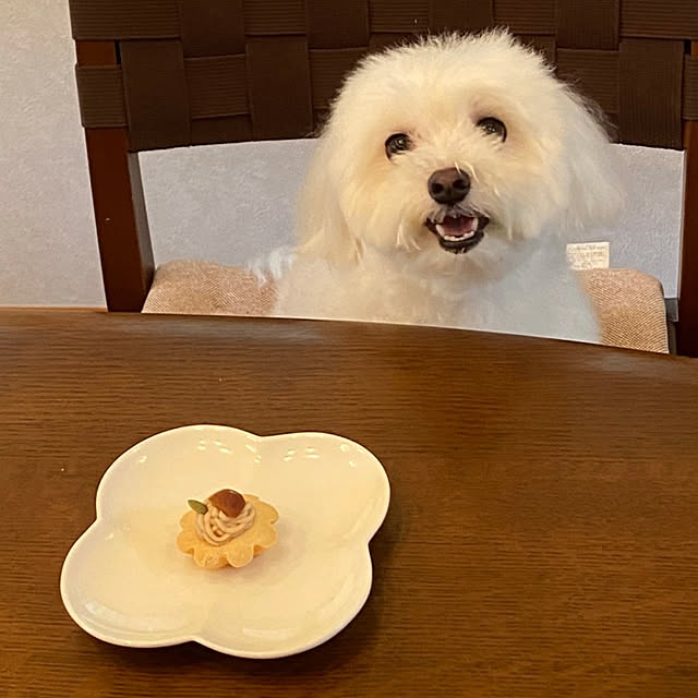 JUDYさんの実例写真