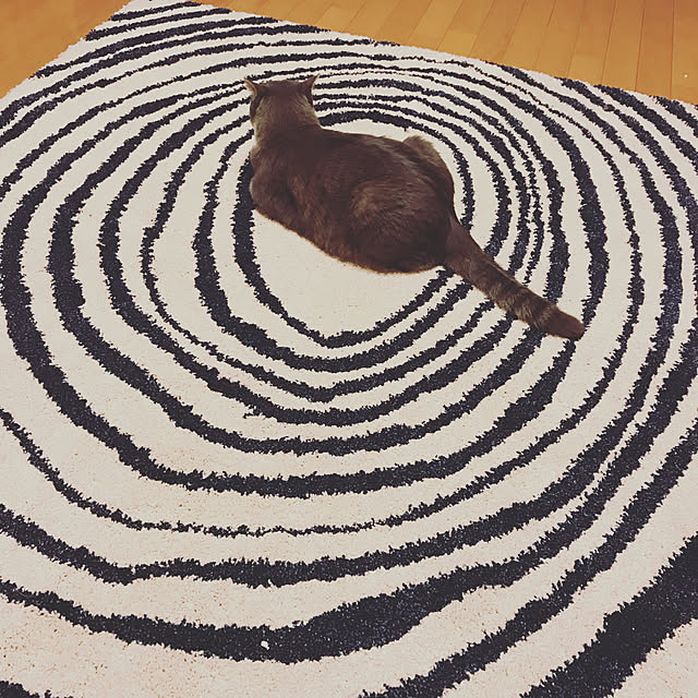 Yokoさんの実例写真