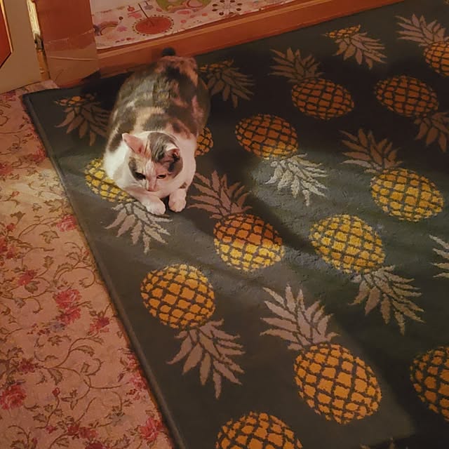 kumutanさんの実例写真