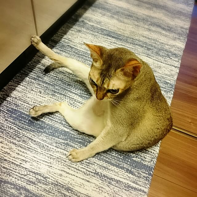 Jcさんの実例写真