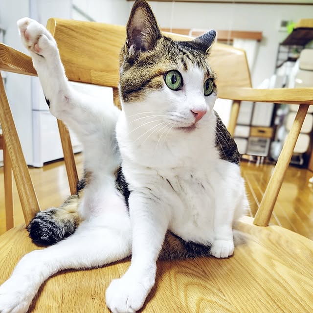 nachiさんの部屋
