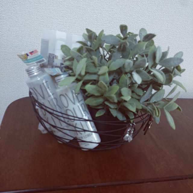実例写真