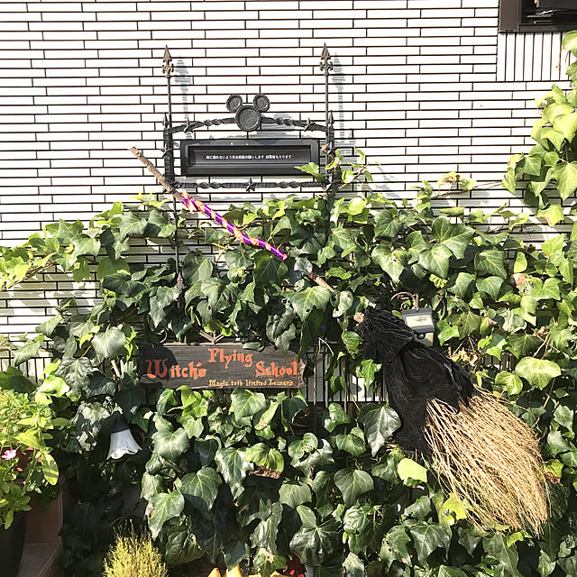 nonさんの実例写真