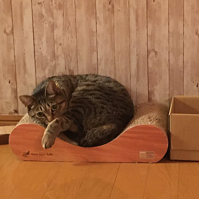 Mさんの実例写真