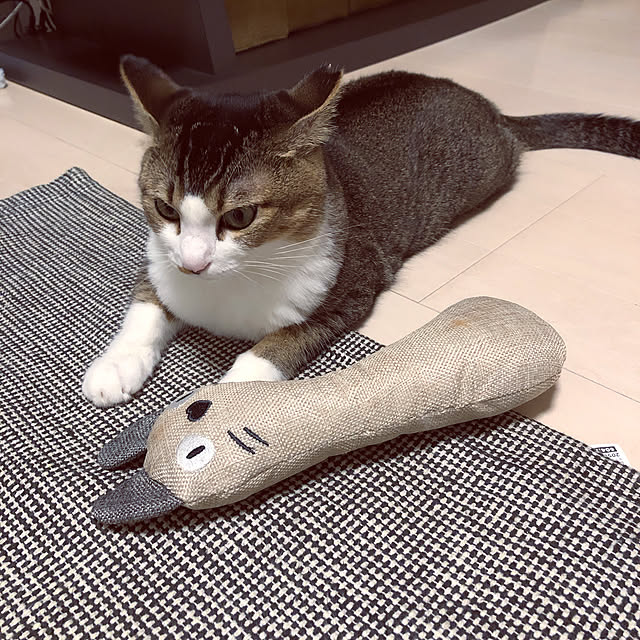 nekomiさんの実例写真