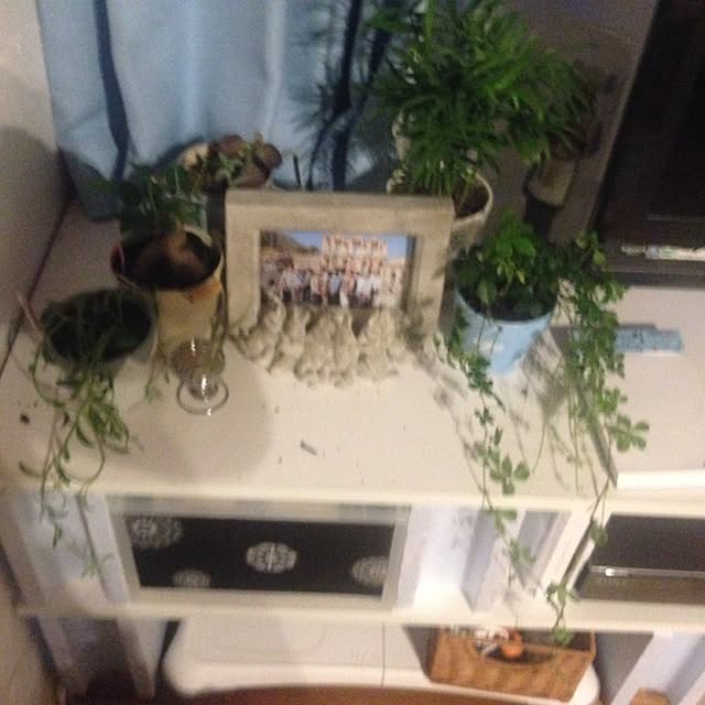 chauさんの実例写真